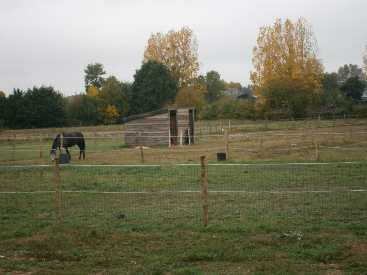 Chez Elisa Bed & Breakfast Chinon Bagian luar foto