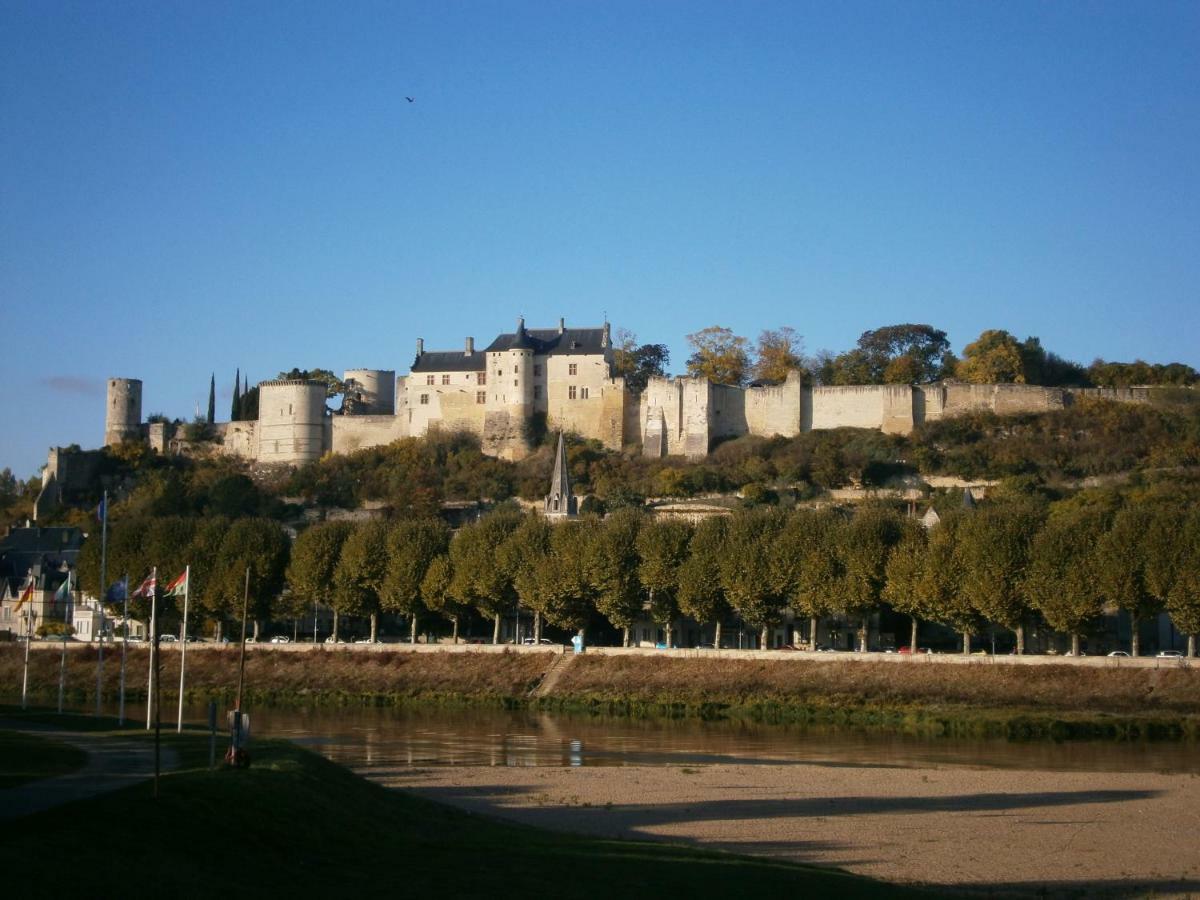 Chez Elisa Bed & Breakfast Chinon Bagian luar foto