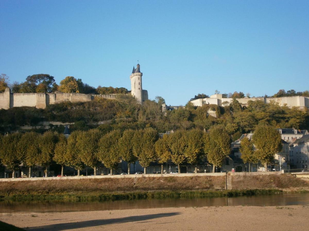 Chez Elisa Bed & Breakfast Chinon Bagian luar foto